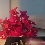 Casa Mafalda 4*